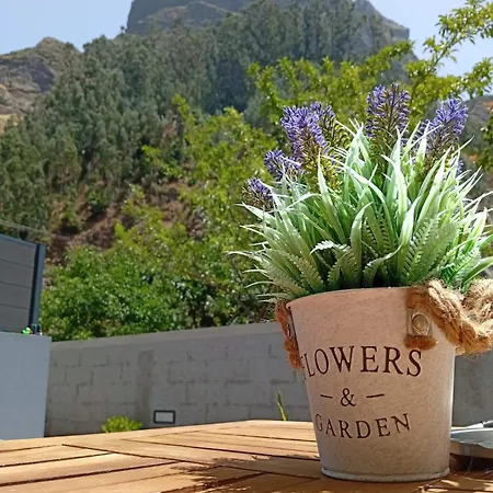 Danny's Rural T2 * Curral Das Freiras