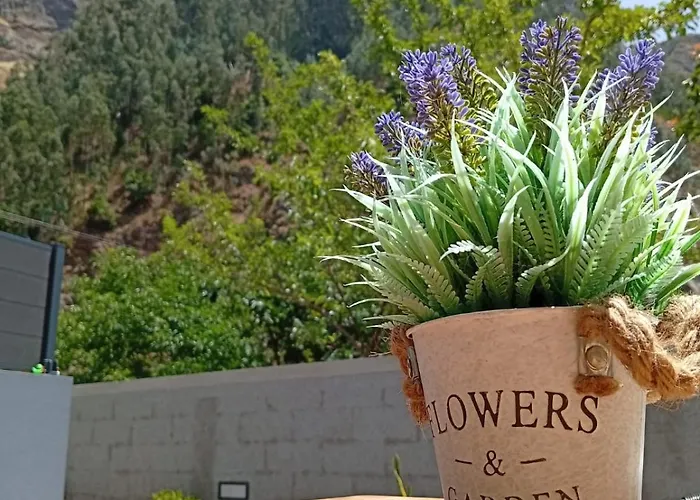 Danny's Rural T2 * Curral Das Freiras